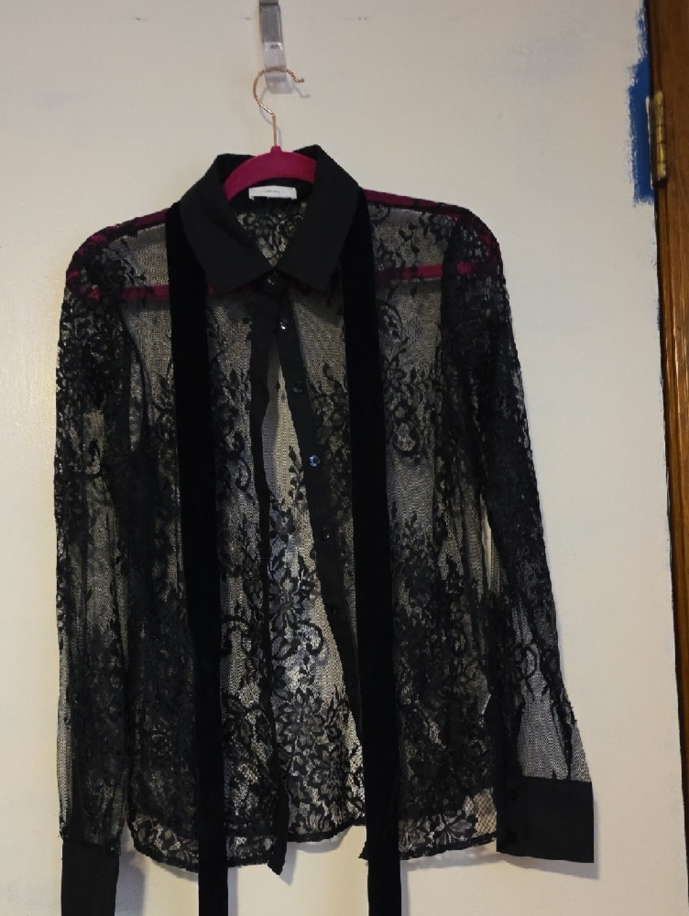 Sheer Black Lace Button-Up Blouse with Neck Ties - Picture 7 of 10